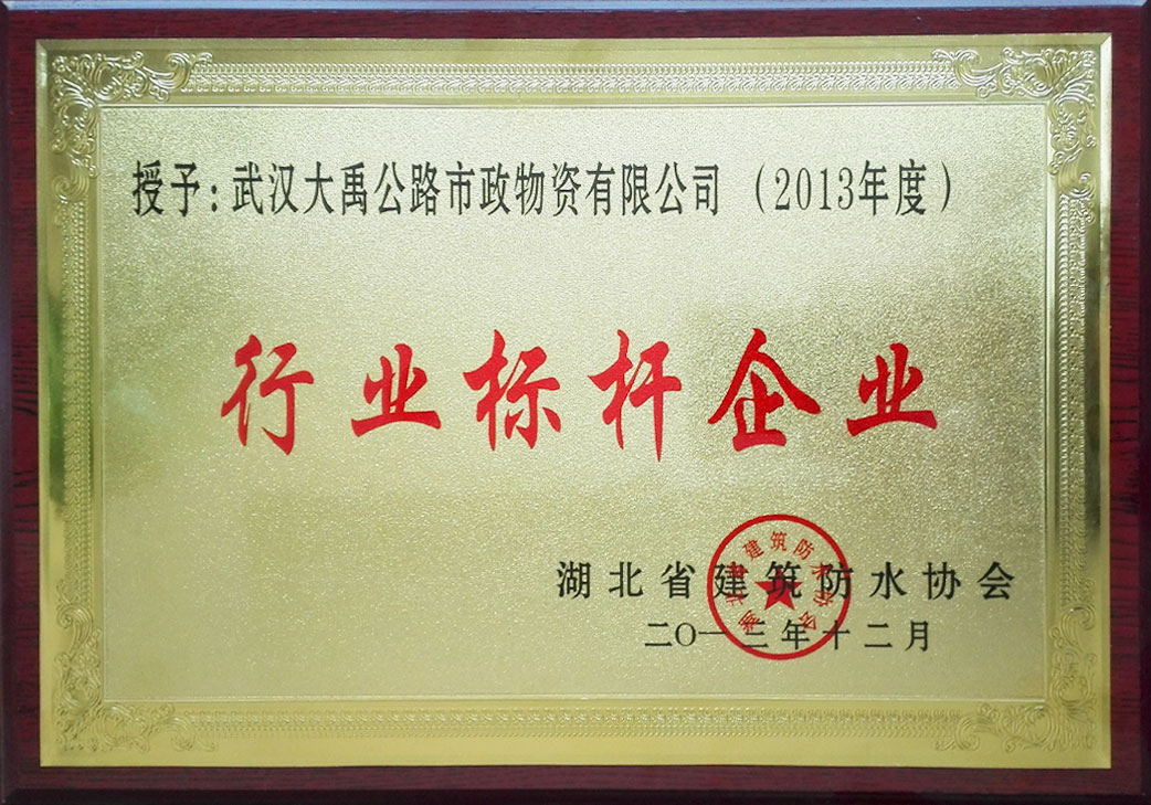 行業(yè)標(biāo)桿企業(yè)